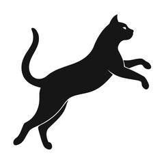 Black Cat in Mid-Air Silhouette