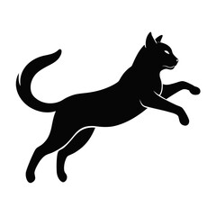 Black Cat in Mid-Air Silhouette