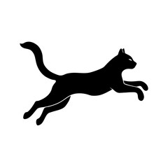 Black Cat in Mid-Air Silhouette