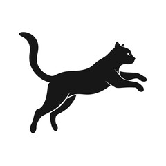 Black Cat in Mid-Air Silhouette