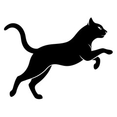 Black Cat in Mid-Air Silhouette