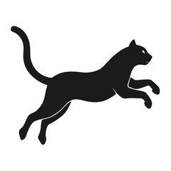 Black Cat in Mid-Air Silhouette