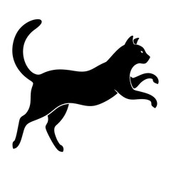 Black Cat in Mid-Air Silhouette