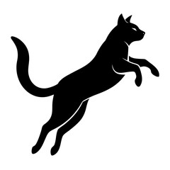 Black Cat in Mid-Air Silhouette