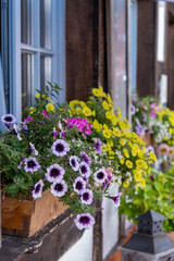 Vibrant Flower Boxes Perfectly Enhancing the Outdoor Charm and Appeal of Any Space