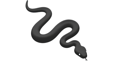 Isolated Black Snake