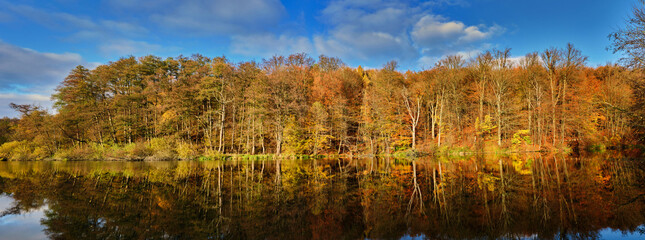 Gorgeous view of lake and autumn forest park, shadow reflecting on water surface.