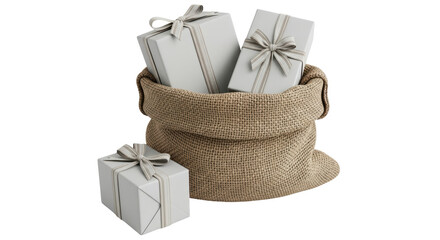 Isolated Gift Bag