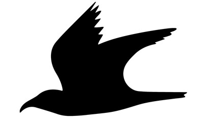 Side view of bird silhouette with wide open wings