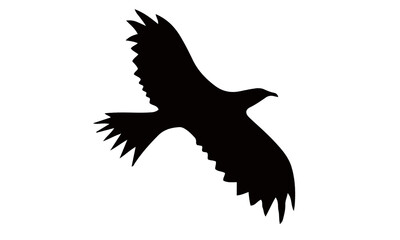 Flying bird silhouette isolated on white background in mid-flight.
