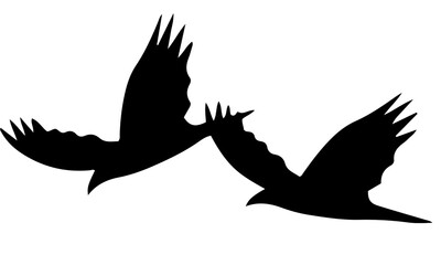 Two birds flying together in silhouette with synchronized wings