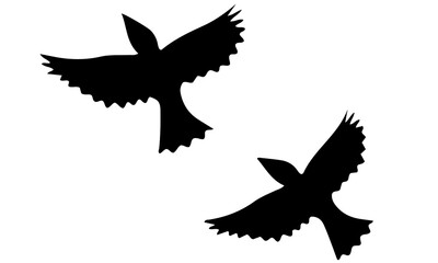  Two flying bird silhouettes in spread wing midair position