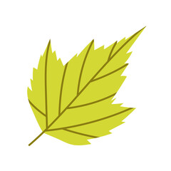 Green leaf icon. Leaf of tree or other plant. Autumn leaf. Autumn decoration in flat style. 