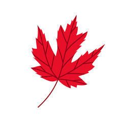 Simple vector illustration of a red maple leaf. National symbol of Canada. Autumn leaf.