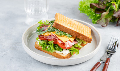 Sandwich of toast bread with bacon, cheese, tomatoes, lettuce, arugula and sauce in a plate on a light background