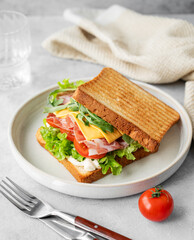 Sandwich of toast bread with bacon, cheese, tomatoes, lettuce, arugula and sauce in a plate on a light background