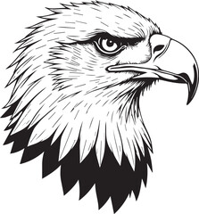 Majestic Eagle's Gaze: A striking black and white portrait captures the intense gaze of an eagle, its powerful beak and sharp features conveying strength and freedom. 