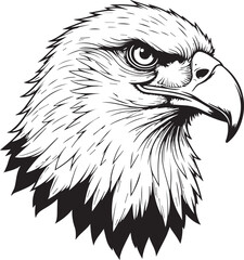  Majestic Eagle Head: A detailed and striking illustration of an eagle's head, showcasing the power and elegance of this iconic bird of prey. 