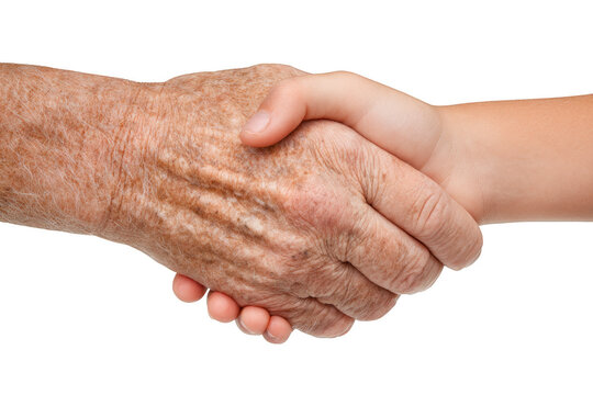 Two hands shaking hands, one of which is old and wrinkled