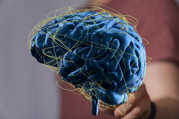 3D rendering of a human brain with complex neural network connections.  Ideal for medical,...