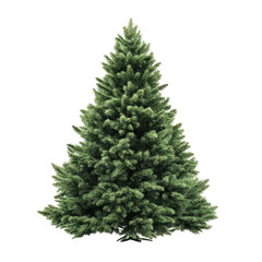 Full view of a lush green Christmas tree