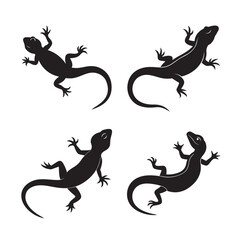 lizard crawling silhouette set bundle on white background