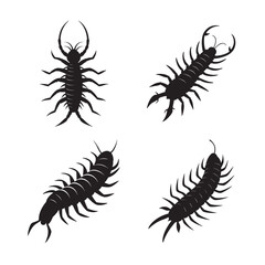curled giant centipede silhouette set bundle