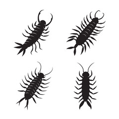 curled giant centipede silhouette set bundle
