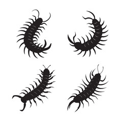 curled giant centipede silhouette set bundle