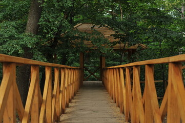 Autumn nature photos.Various autumn landscapes.

