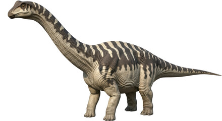 Isolated Brontosaurus Dinosaur © Julie