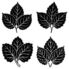 Fototapeta premium Four leaf clusters in black and white with detailed veins and distinct shapes arranged symmetrically