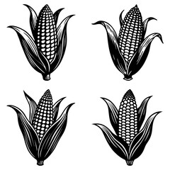 Obraz premium Four graphic corn cobs with husks in black and white vector illustration, isolated on white background
