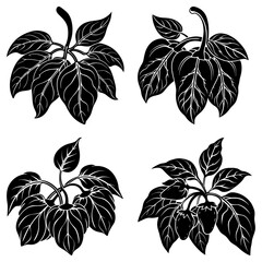 Obraz premium Four black and white stylized pepper plants with leaves and peppers on a white background design art