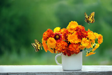 fly butterflies and enamel mug with colorful orange-red flowers on table in garden close up. summer...