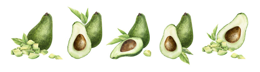 Set of avocado fruits, slices, leaves and pulp. Collection of watercolor hand drawn illustrations. Composition of ripe vegetables for menu, packaging of food, cosmetics, card, recipe
