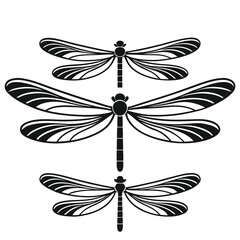 A group of dragonfly silhouettes isolated on white background