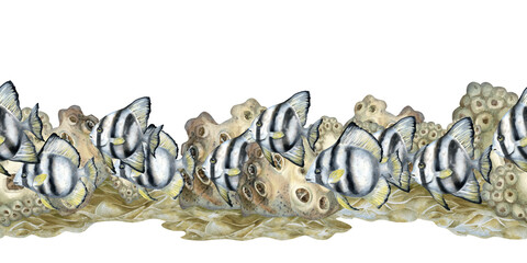 Seamless border of black-white striped tropical fish, beige corals on the reefs. Watercolor template of seascape in beige tones isolated on white background for sea design, diving, scrapbook, sticker