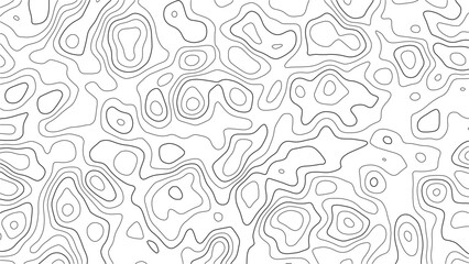 Irregular Black and White Contour Line Pattern Background