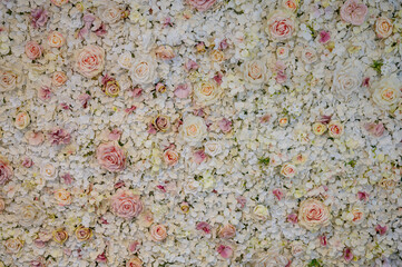 Pastel Coloured Flower Wall