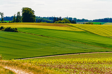 Fototapeta premium Agricultural summer view near Ettling, Dingolfing, Landau, Bavaria, Germany