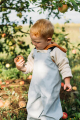 A small red-haired boy in a gray-blue jumpsuit and yellow boots holds a rotten apple in his hands and looks at it with interest