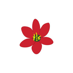 Flower with Colorful