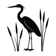 Great blue heron, a large grey wading bird, gracefully standing by the water's edge, fishing in the wild