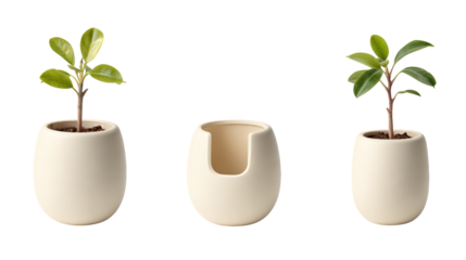 Enhance your home decor with three exquisite planters and lush greenery three
