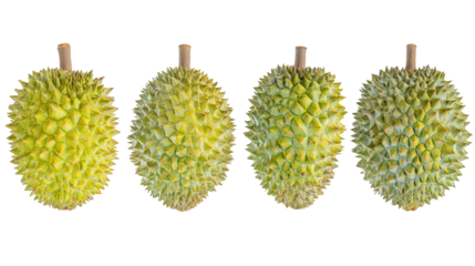 Discover the artistry of vibrant dupas, a celebration of handcrafted textiles and cultural heritage