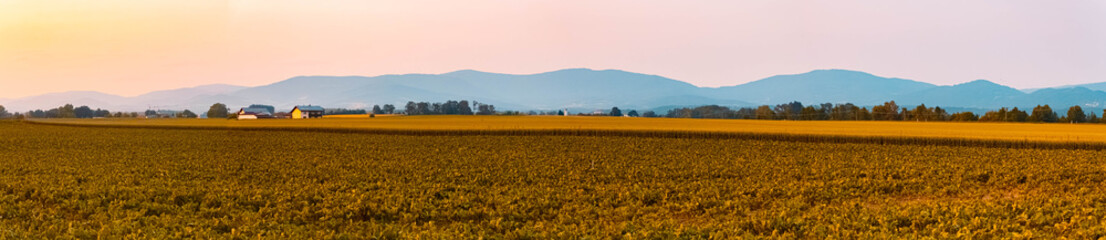 High resolution stitched agricultural summer panorama near Uttenkofen, Stephansposching,...