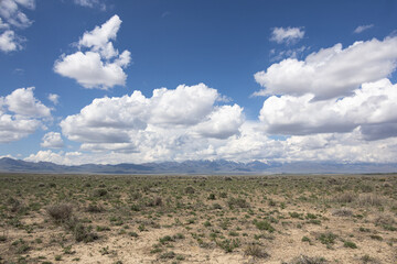 Spring steppe landscape in Kazakhstan with cloudy sky