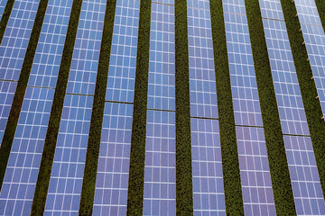 Sprawling Solar Panel Array on Green Field