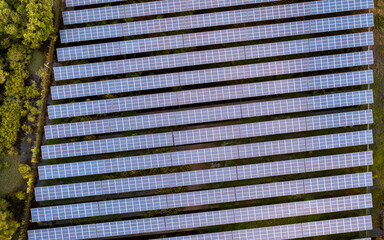 Sprawling Solar Panel Array on Green Field
